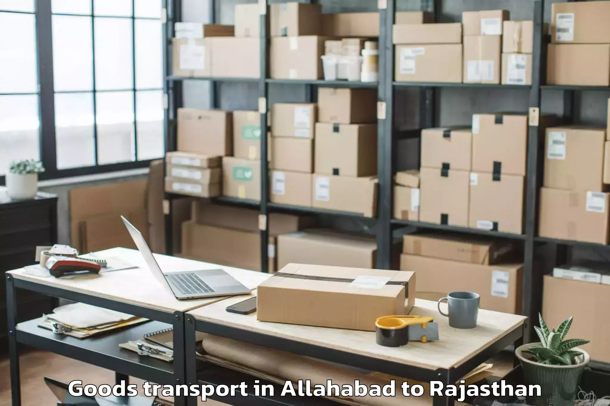 Professional Allahabad to Pindwara Goods Transport